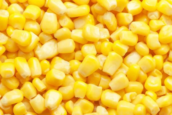 Preserved Sweet Corn Market in the EU to Continue Moderate Growth